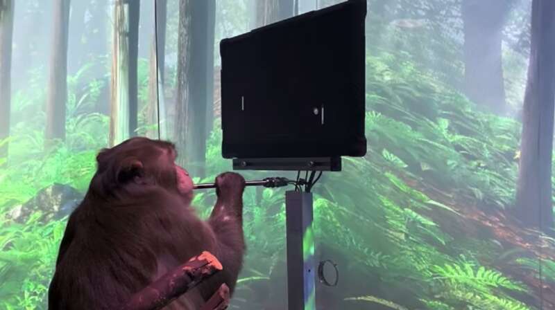 Neuralink用猴子进行做实验